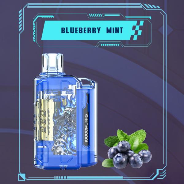 iget flare B10000 Disposable vape - Blueberry Mint | MonkBro India