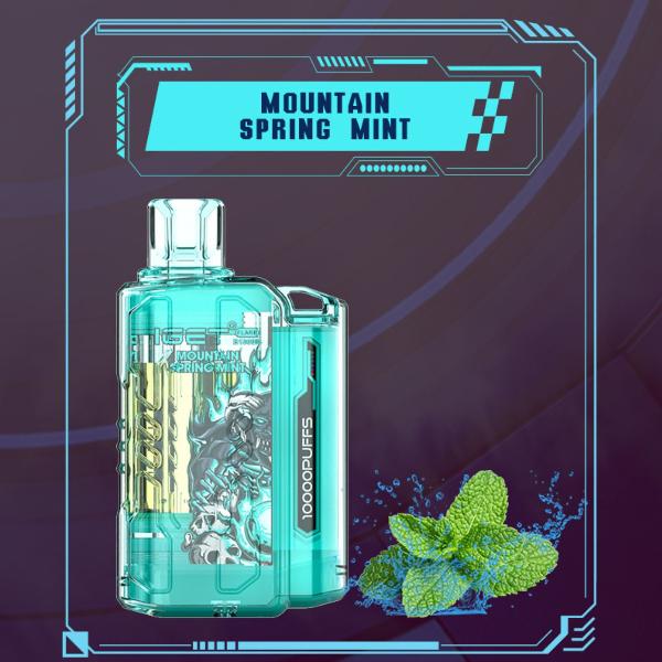 Buy iget flare vape online at monkbro India - Mountain Spring Mint
